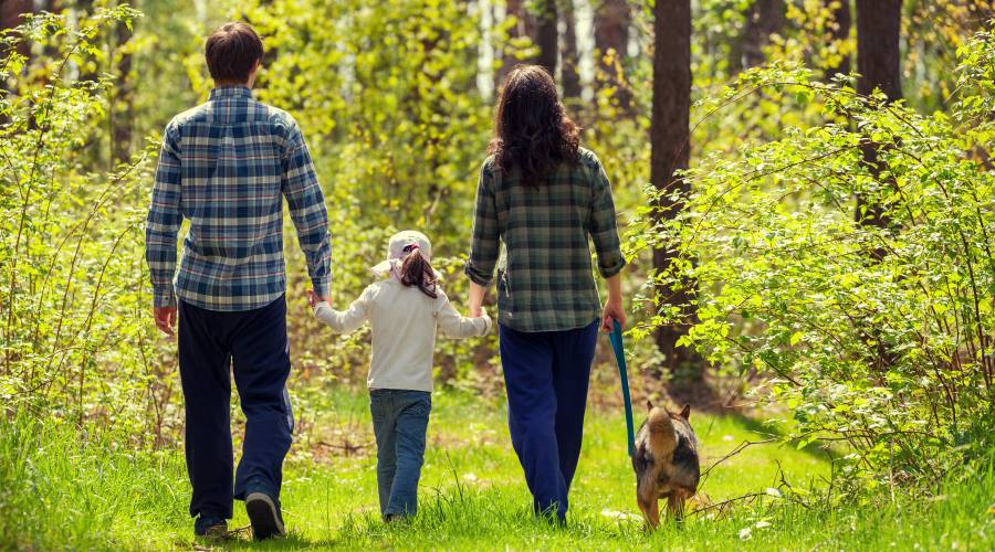 Passeggiata in famiglia a 6zampe