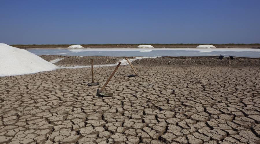 Deserto del Kutch