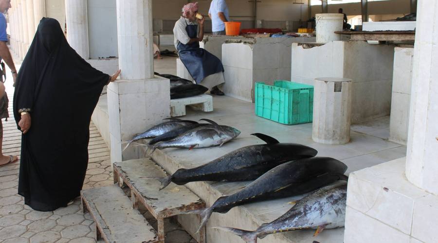 Souq a Muscat-il mercato del pesce