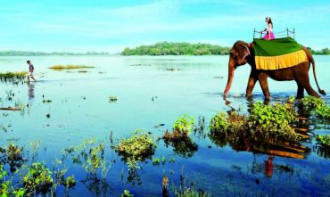 Il fascino dello Sri Lanka in tour + mare alle Seychelles