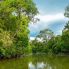 Navigando sul Kinabatangan