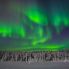 Aurora Boreale a Rovaniemi in Lapponia