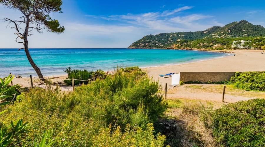 Hotel Canyamel classic