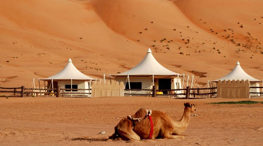 Wahiba Sands e  Desert Night camp