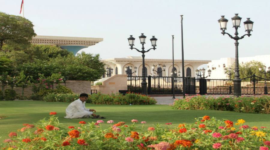 Fiori nel giardino del Sultano