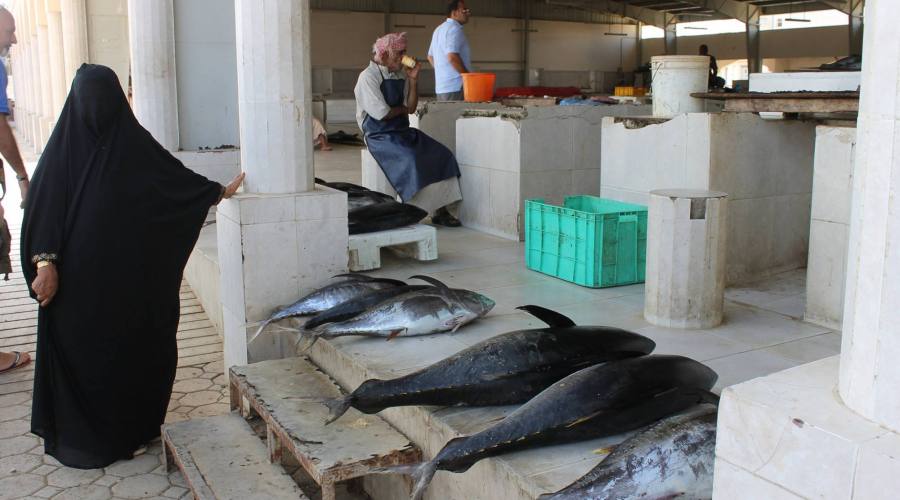Souq a Muscat-il mercato del pesce