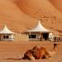 Wahiba Sands e  Desert Night camp