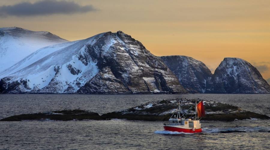 Whale safari (Anne Olsen-Ryum_www.nordnorge.com)