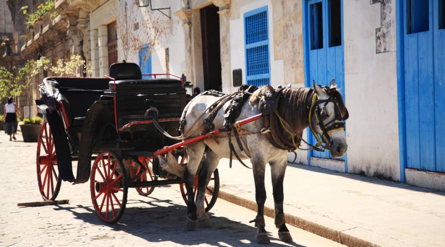 Carrozza a l'Avana, Cuba