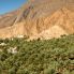 La Montagna Verde di Jabal Akhdar