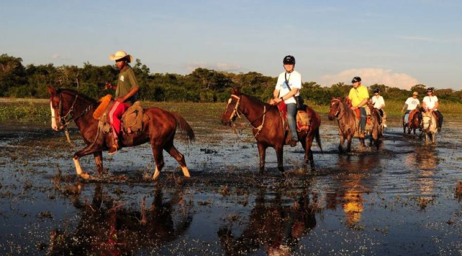 Gran Tour: Pantanal