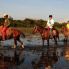 Gran Tour: Pantanal