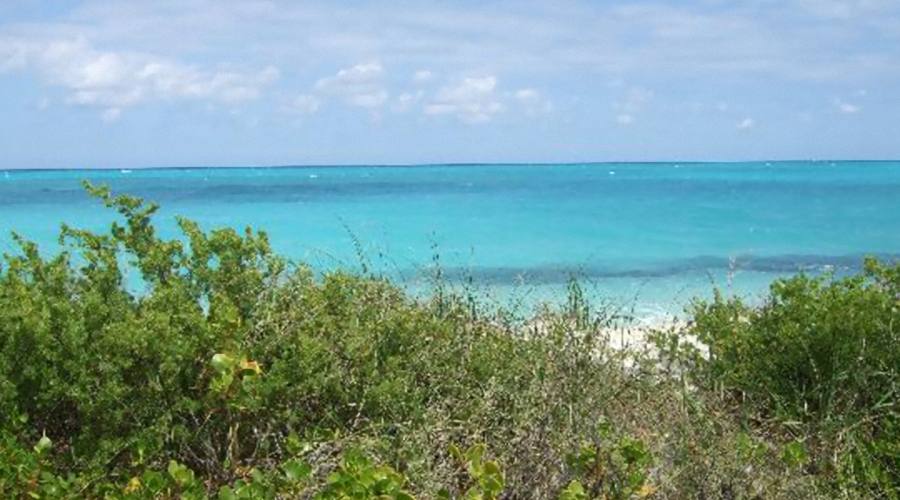 Cayo Santa Maria, Cuba