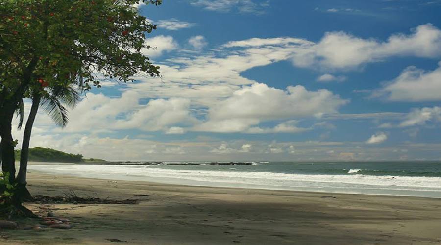 Playa Junquilla