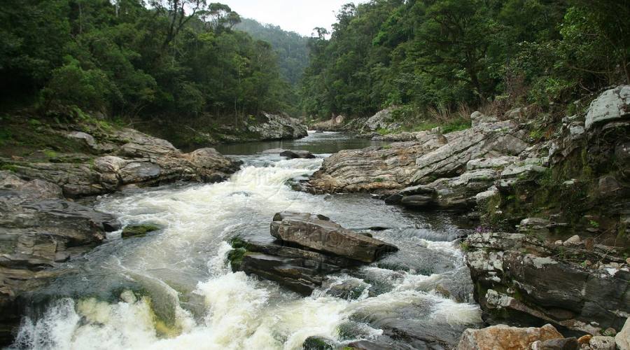 Fiume roccioso nel Parco nazionale di Ranomafana