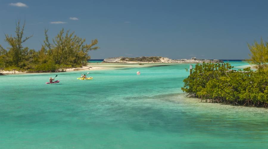 Kayak a Cat Island