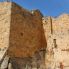 Ajloun, fortezza musulmana (il...