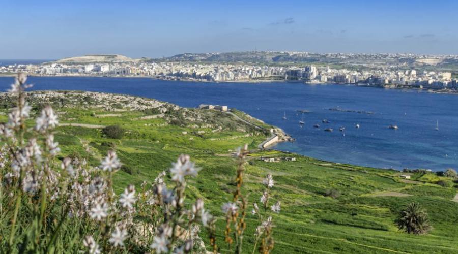 Malta: Vista su Bugibba