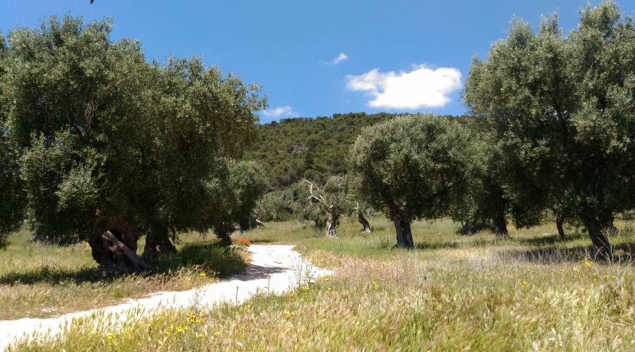 Percorsi Naturalistici in Masseria