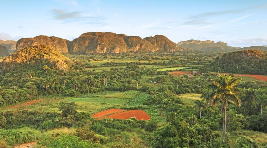 Vinales piantagioni di tabacco