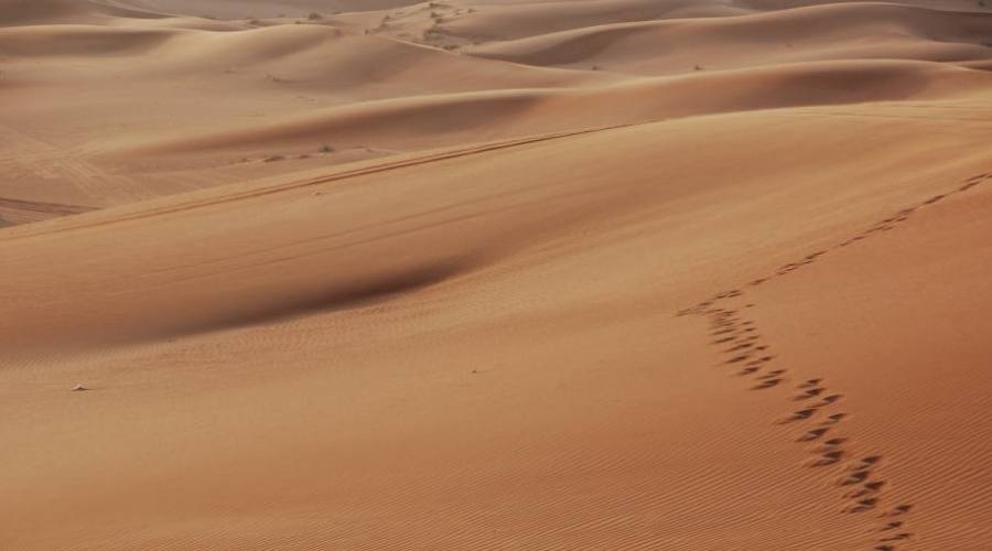 Dubaï : marchez dans le désert