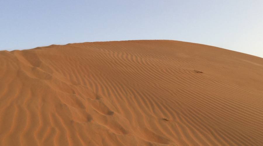 Le dune del deserto di Wahiba Sands