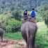 Trekking avec les éléphants