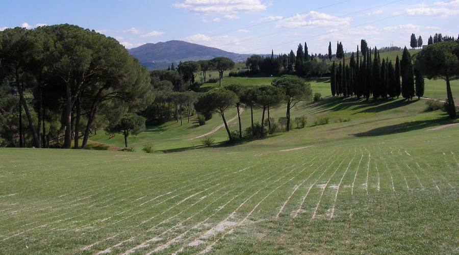 Ugolino Campo 