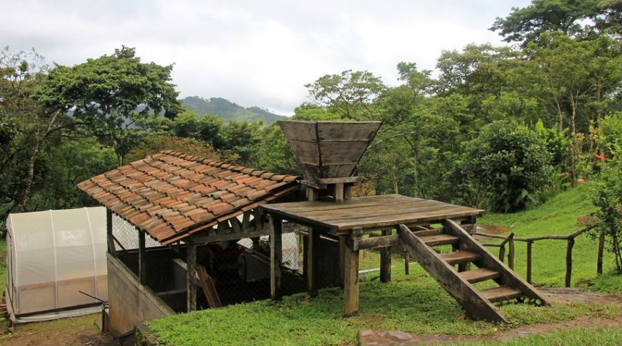 Azienda che coltiva caffè