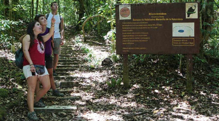 Escursione a Selva Negra