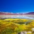 La Laguna Colorada