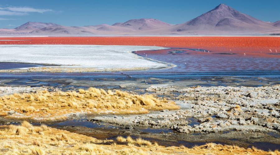 La Laguna Colorada