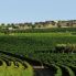 Masseria Wine Resort con Giardino Vigneto