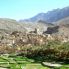 Plateau di rose a Jabal Akhdar