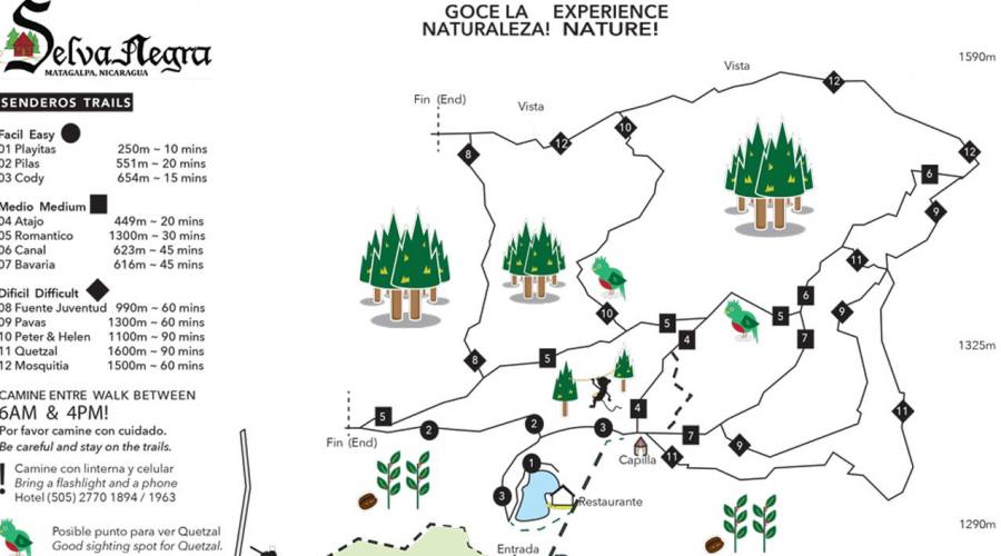 Mappa delle escursioni a Selva Negra