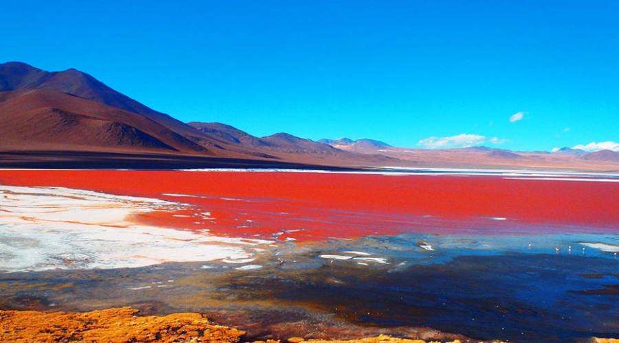 Laguna Colorada