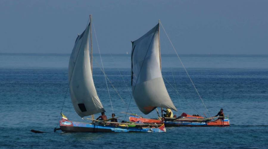 sailing