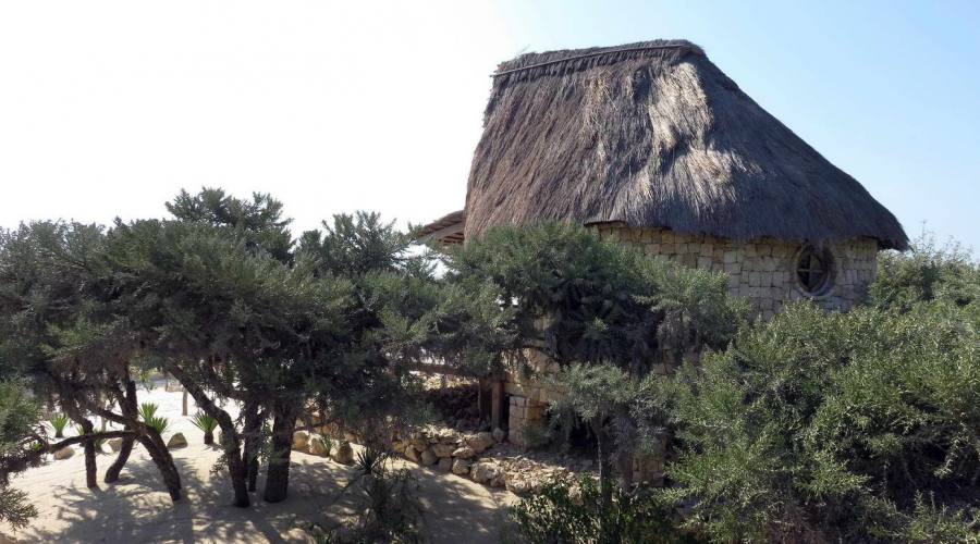 vista del bungalow