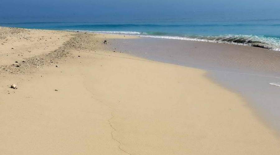 spiaggia