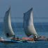 sailing