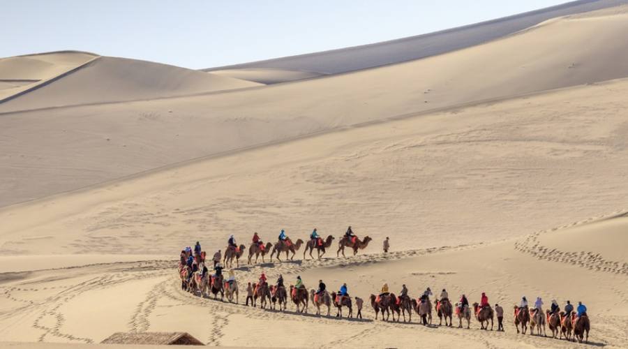 Gobi desert