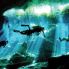 Escursioni: Cenote per sub