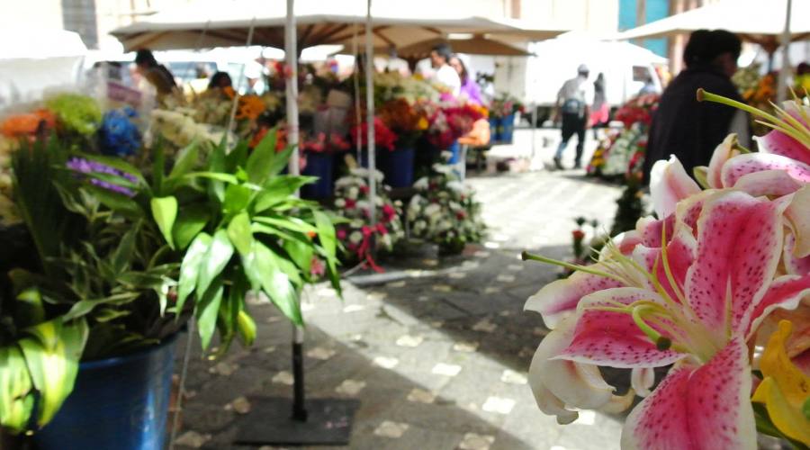 Plaza de las flores, Cuenca
