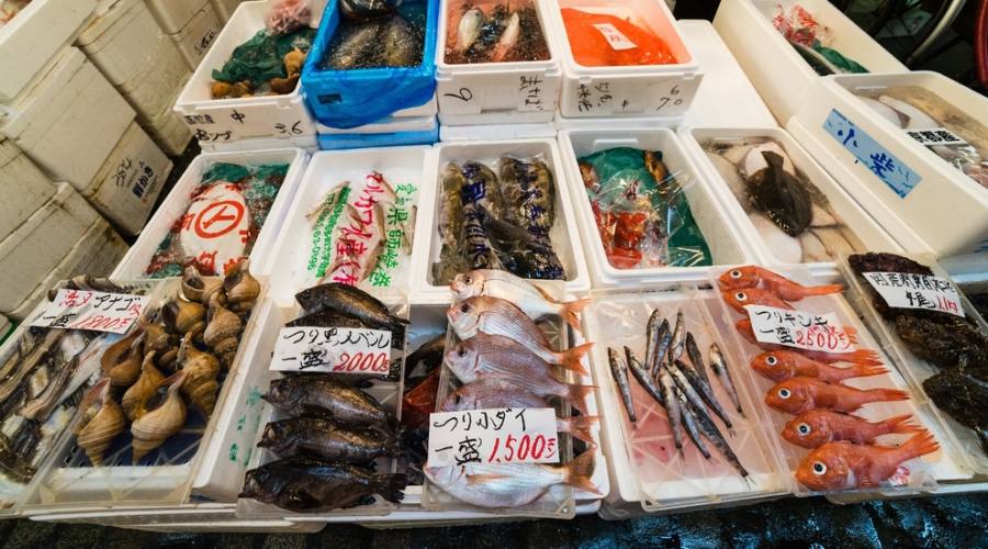Mercato del pesce a Tokyo