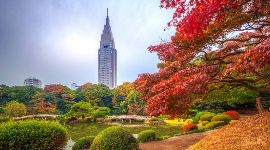 Autunno allo Shinjuku Park di Tokyo