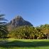 La natura rigogliosa di Mauritius