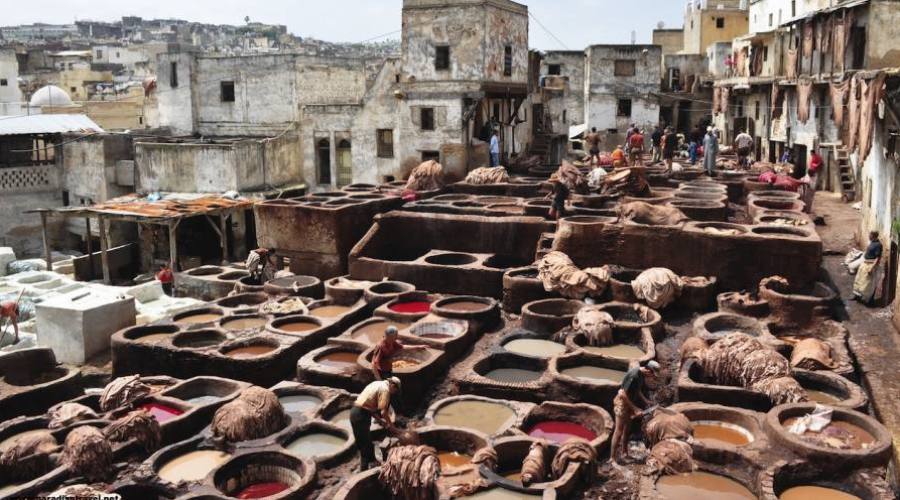 fez - Tanneries