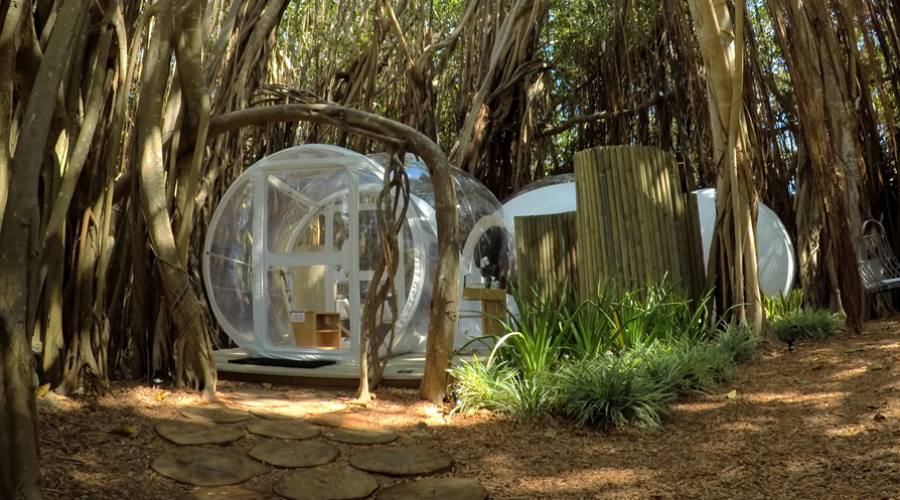 Bubble Lodge Albero Banyan