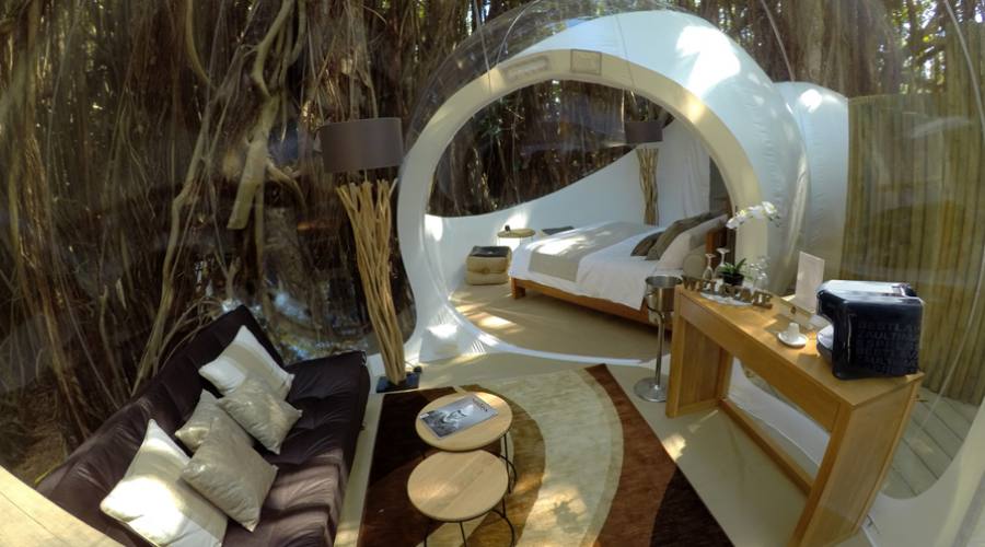 Bubble Lodge Albero Banyan