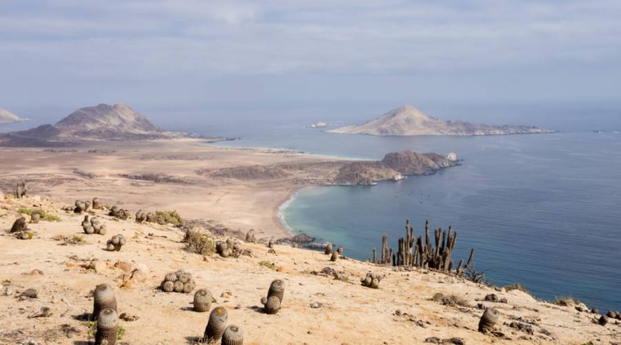 Cactus, deserto e oceano Pacifico